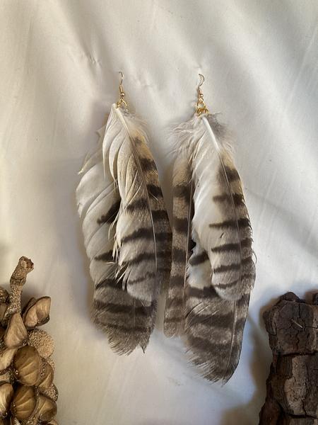 Plumas do Invisível 