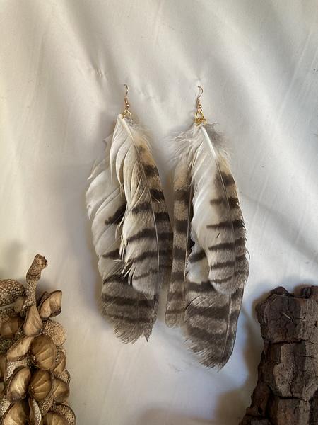 Plumas do Invisível 