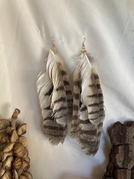 Plumas do Invisível 